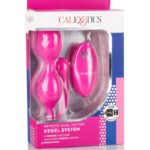 Remote Dual Motor Kegel System