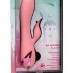 Pasadena Player bij Sexshop de Dom