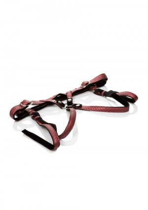 The Regal Duchess Red | Calexotics - Afbeelding 5