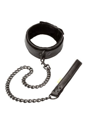 Boundless Collar and Leash | Calexotics