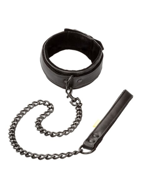 Boundless Collar and Leash | Calexotics