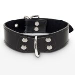 Elegant D-Ring Collar Black | Taboom