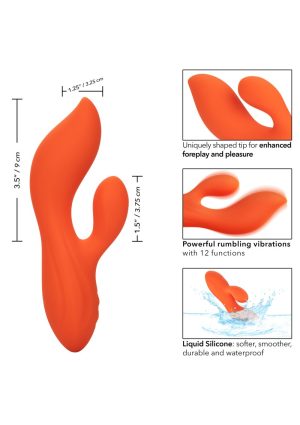 Stella Dual Teaser | Calexotics - Afbeelding 2