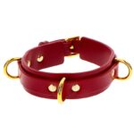 D-Ring Collar Deluxe Red | Taboom
